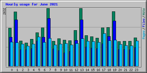 Hourly usage for June 2021