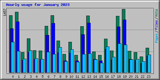 Hourly usage for January 2023